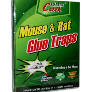 Rat & Mouse Glue Board