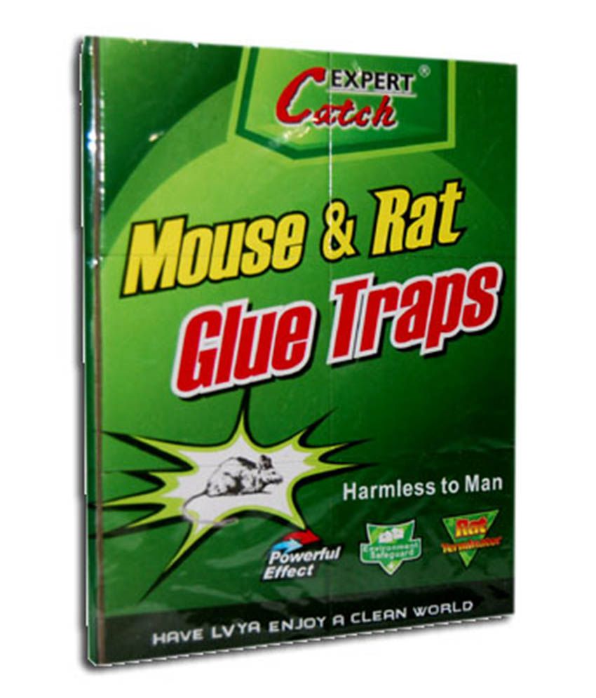 Rat & Mouse Glue Board